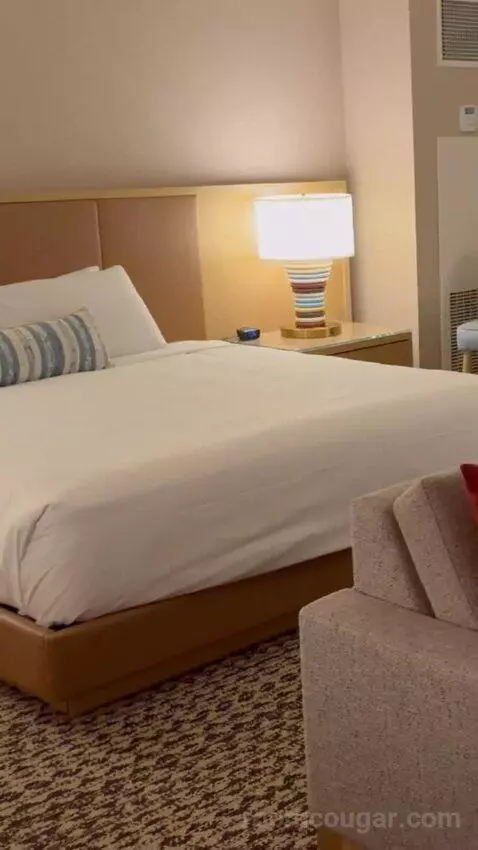 King Suite Room bed picture #5