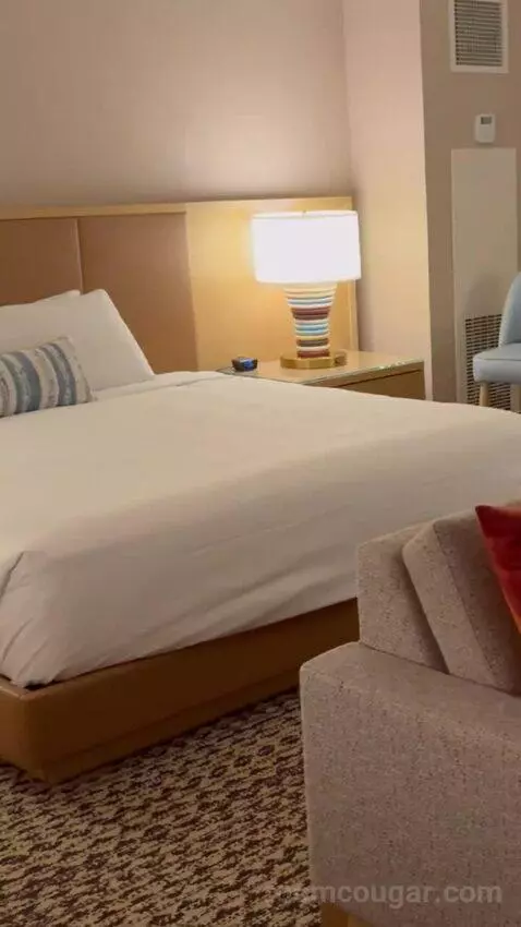 King Suite Room bed picture #6