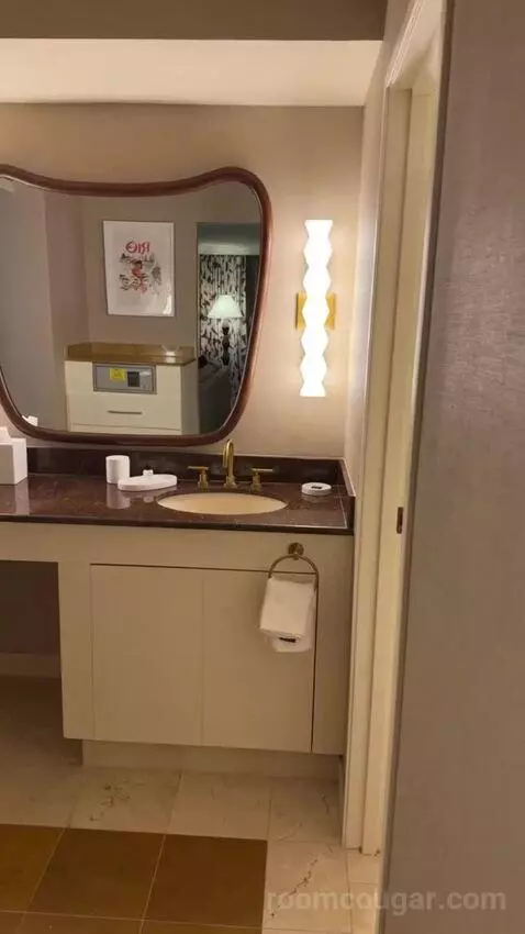 King Suite Room bathroom picture #1