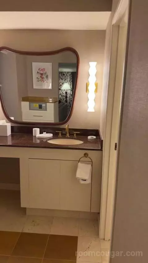 King Suite Room bathroom picture #2