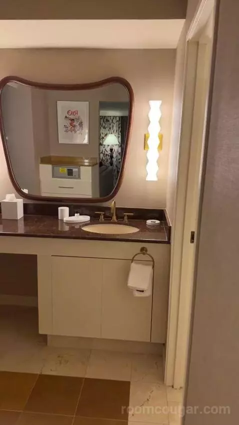 King Suite Room bathroom picture #3