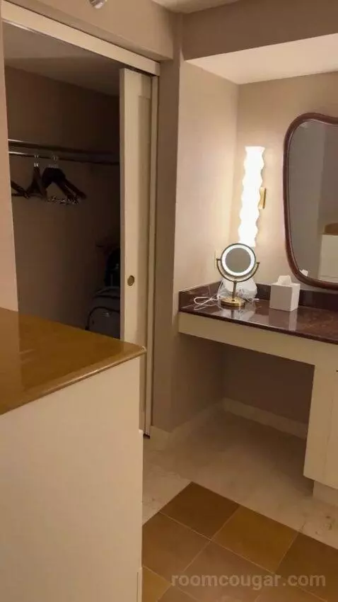 King Suite Room bathroom picture #4