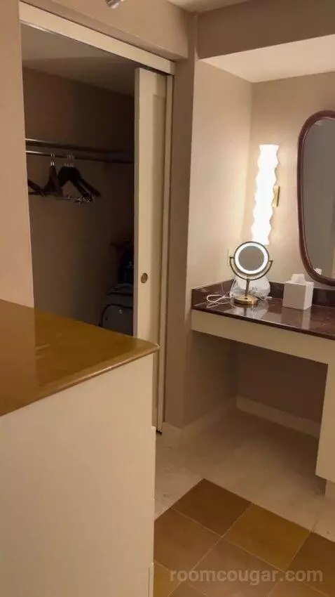 King Suite Room bathroom picture #5
