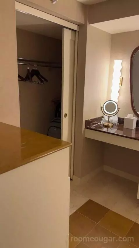 King Suite Room bathroom picture #6