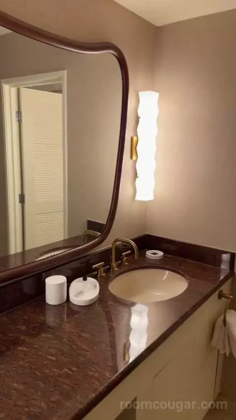 King Suite Room bathroom picture #7