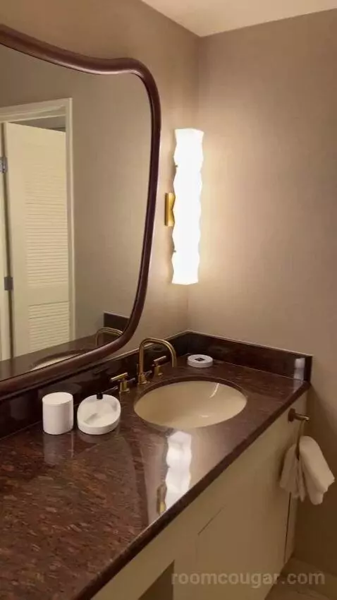 King Suite Room bathroom picture #8