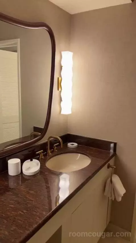King Suite Room bathroom picture #9