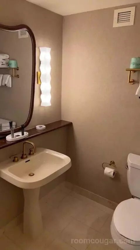King Suite Room bathroom picture #10