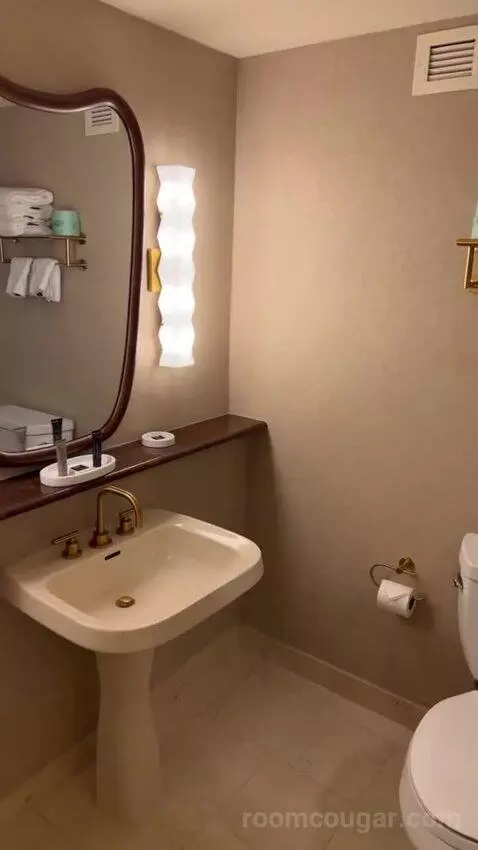 King Suite Room bathroom picture #11