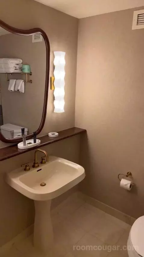 King Suite Room bathroom picture #12