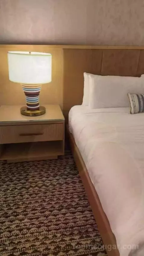King Suite Room bed picture #8