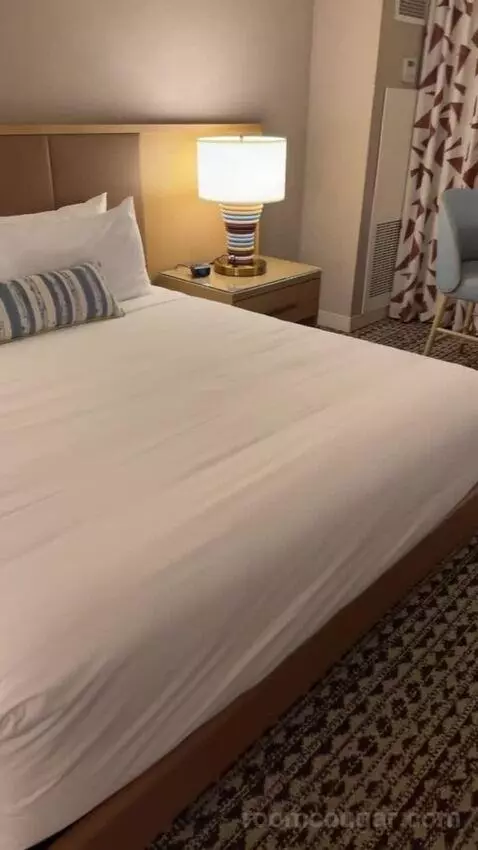 King Suite Room bed picture #9