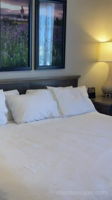 One-Bedroom Apartment - No Resort Fees bed picture #7