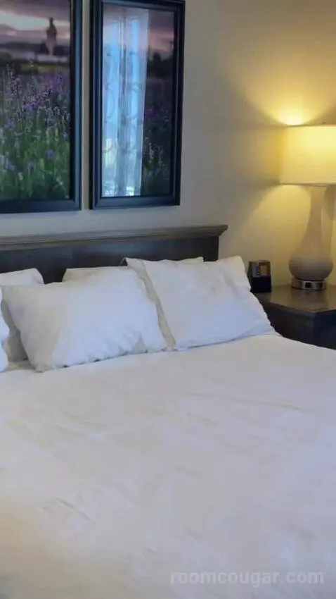 One-Bedroom Apartment - No Resort Fees bed picture #8
