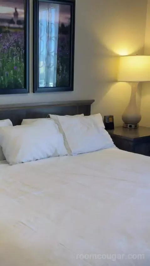 One-Bedroom Apartment - No Resort Fees bed picture #9