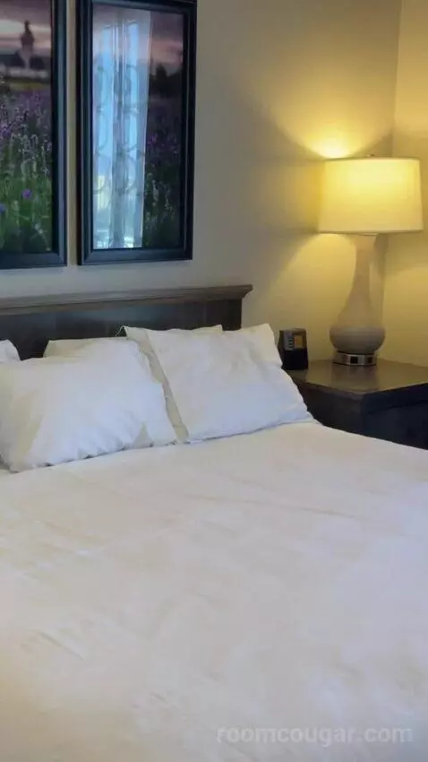 One-Bedroom Apartment - No Resort Fees bed picture #10