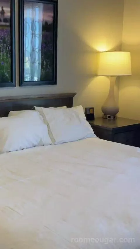 One-Bedroom Apartment - No Resort Fees bed picture #11