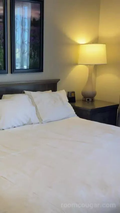 One-Bedroom Apartment - No Resort Fees bed picture #12