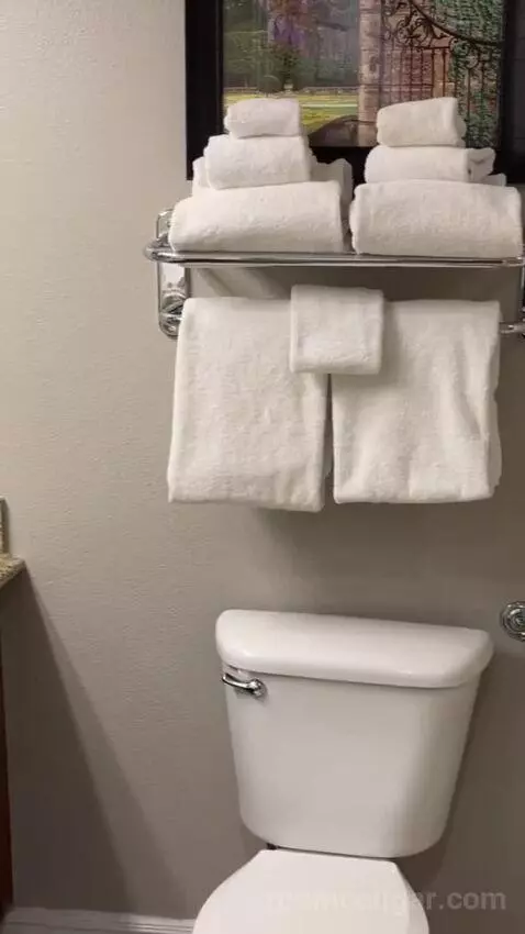 One-Bedroom Apartment - No Resort Fees bathroom picture #4