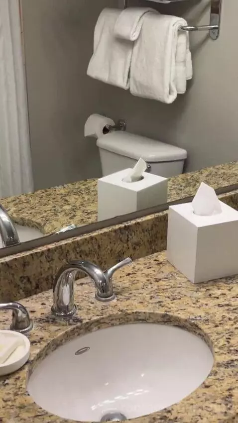 One-Bedroom Apartment - No Resort Fees bathroom picture #7