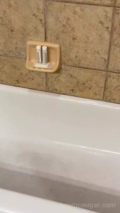 One-Bedroom Apartment - No Resort Fees bathroom picture #10