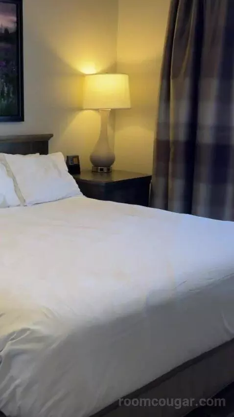 One-Bedroom Apartment - No Resort Fees bed picture #1