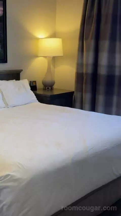 One-Bedroom Apartment - No Resort Fees bed picture #2
