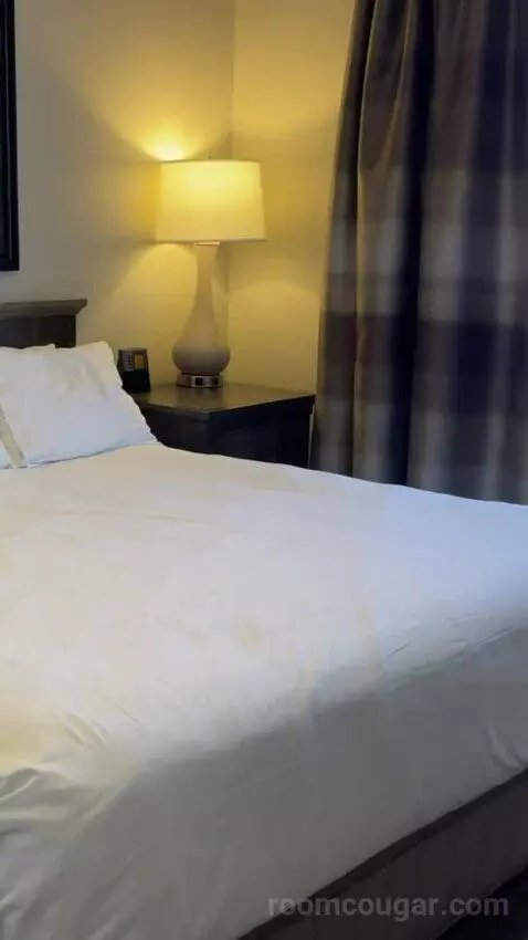 One-Bedroom Apartment - No Resort Fees bed picture #3