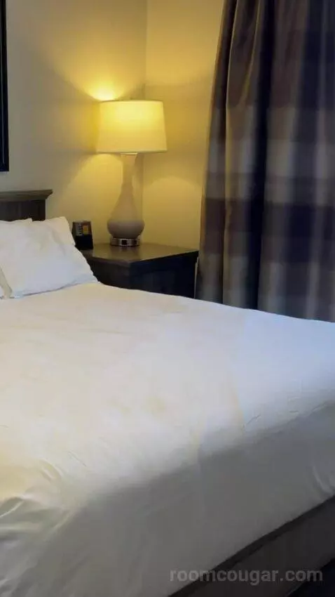 One-Bedroom Apartment - No Resort Fees bed picture #4
