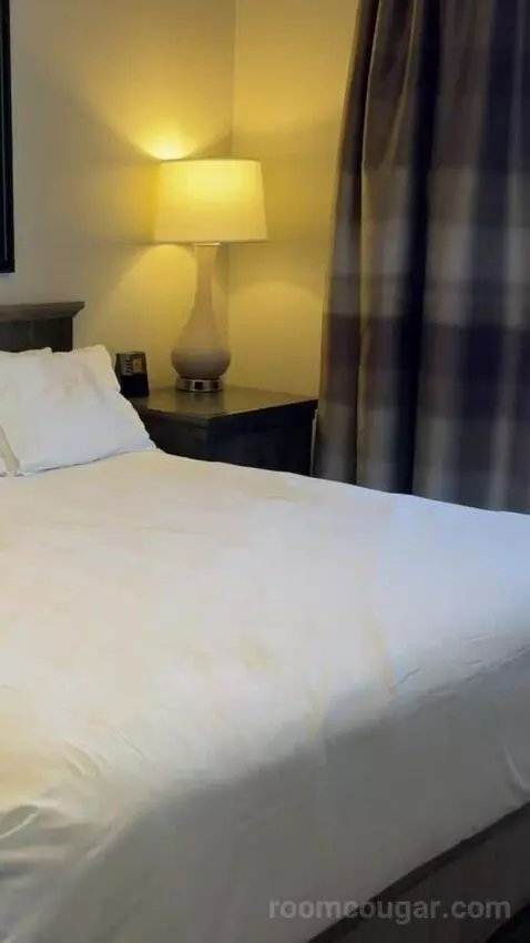 One-Bedroom Apartment - No Resort Fees bed picture #5