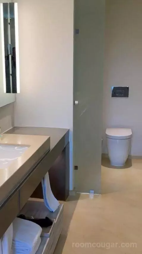 King Beach Area bathroom picture #2