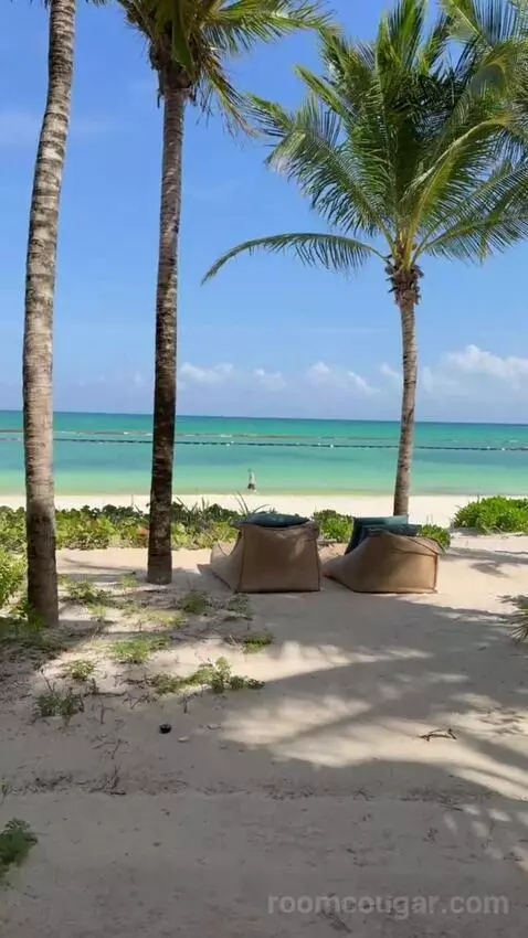 Beach Front Plunge Pool Suite picture #15