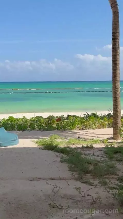 Beach Front Plunge Pool Suite view picture #9
