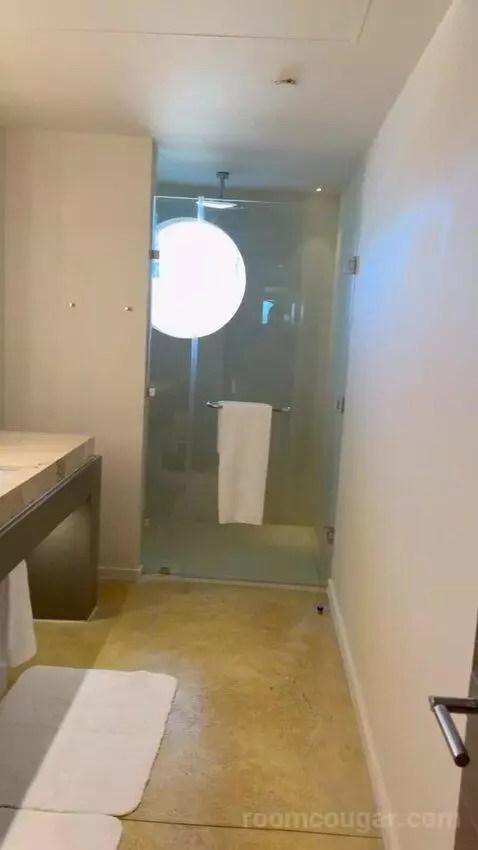 Beach Front Plunge Pool Suite bathroom picture #2