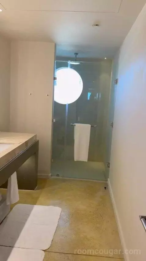 Beach Front Plunge Pool Suite bathroom picture #3