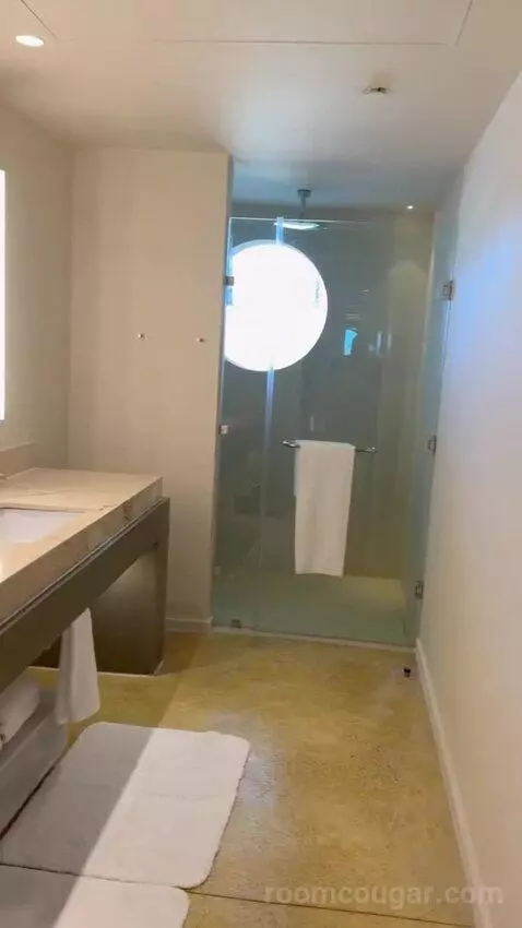 Beach Front Plunge Pool Suite bathroom picture #4