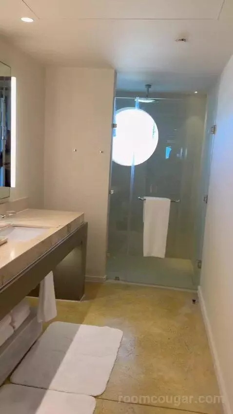 Beach Front Plunge Pool Suite bathroom picture #5