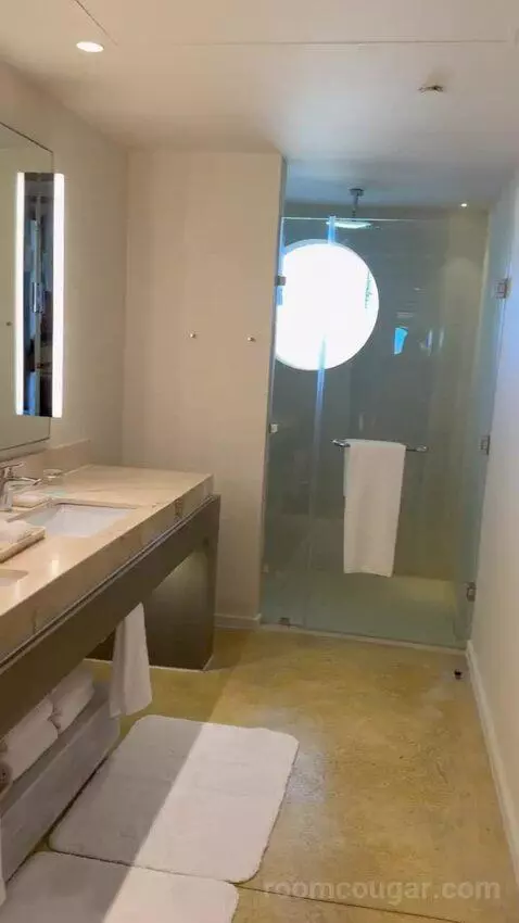 Beach Front Plunge Pool Suite bathroom picture #6