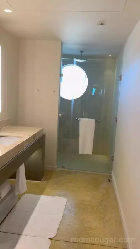Beach Front Plunge Pool Suite picture #5
