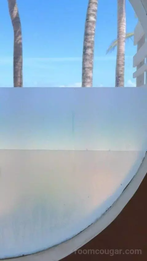 Beach Front Plunge Pool Suite picture #7