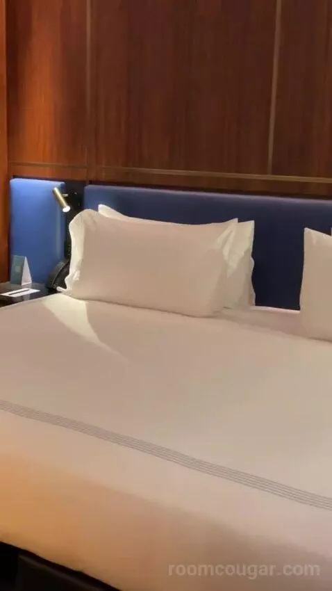 Junior Suite with Terrace bed picture #2