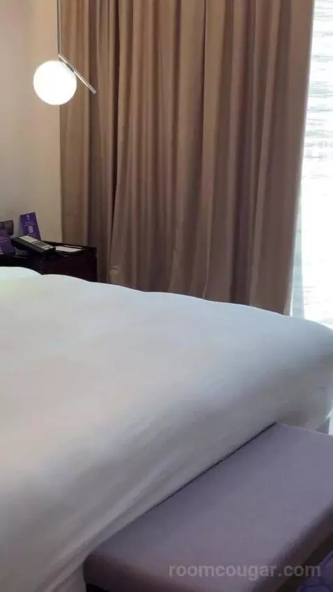 Executive King Suite with City View bed picture #7