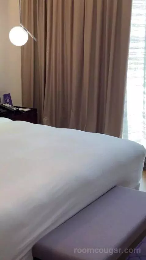 Executive King Suite with City View bed picture #8
