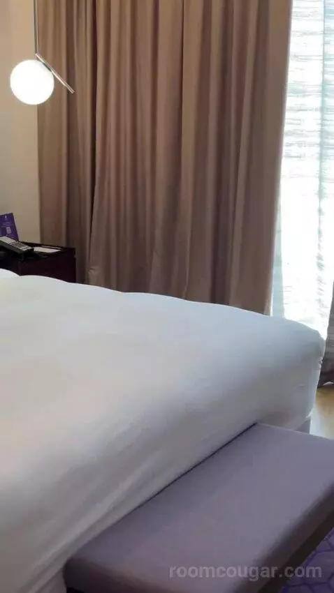 Executive King Suite with City View bed picture #9
