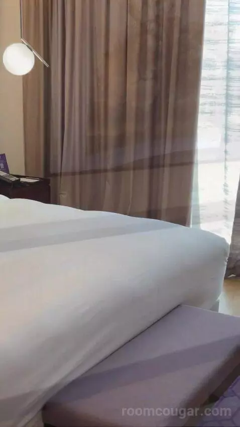 Executive King Suite with City View picture #11