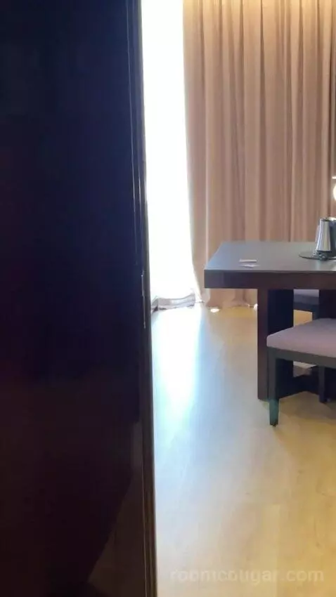Executive King Suite with City View picture #4