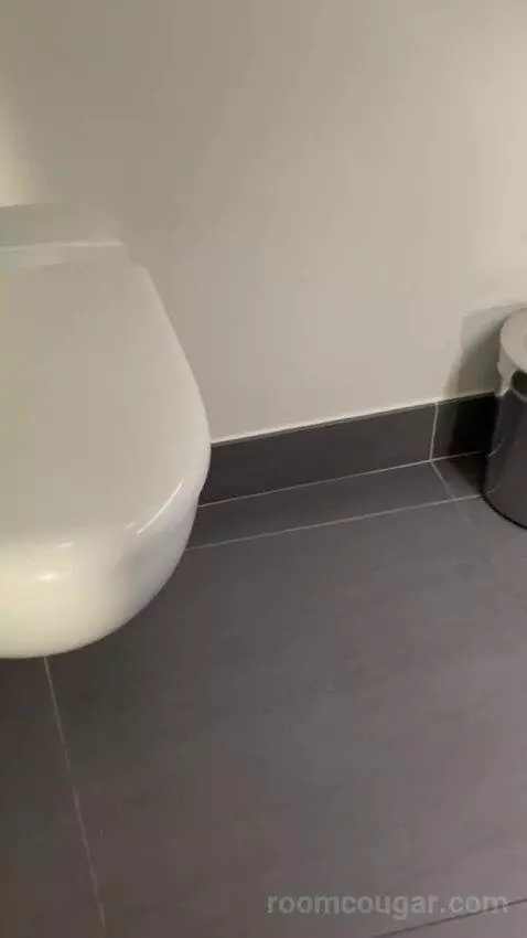 Premium Room bathroom picture #6