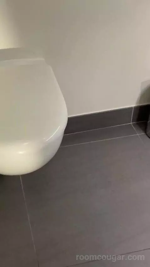 Premium Room bathroom picture #7