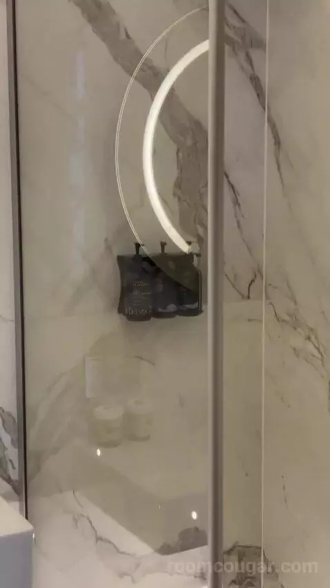 Premium Room bathroom picture #10