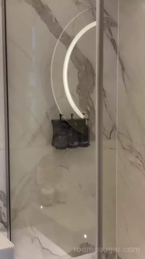 Premium Room bathroom picture #12